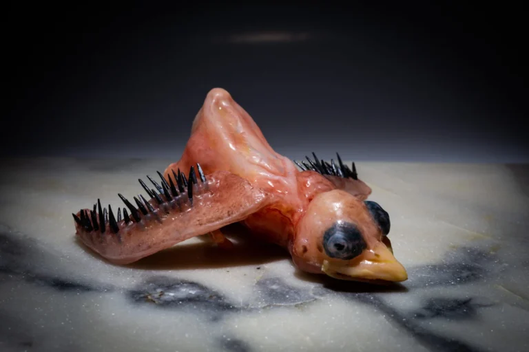 fetal crow puppet for horror film.